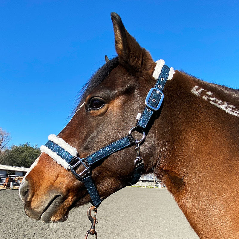 Sangle De Nez Anatomique Crownhorse - Cheval Islandais - Bleu Foncé Pailleté - Occasion