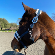 Charger l&#39;image dans la galerie, Licol Scintillant Paillettes Vegan Bleu Marine
