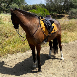 Tapis Ligne Classique CSO Mixte Moutarde