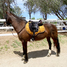 Charger l&#39;image dans la galerie, Tapis Ligne Classique CSO Mixte Moutarde
