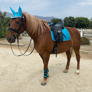 Tapis Paillettes Dressage Turquoise Bleu Méditerranée